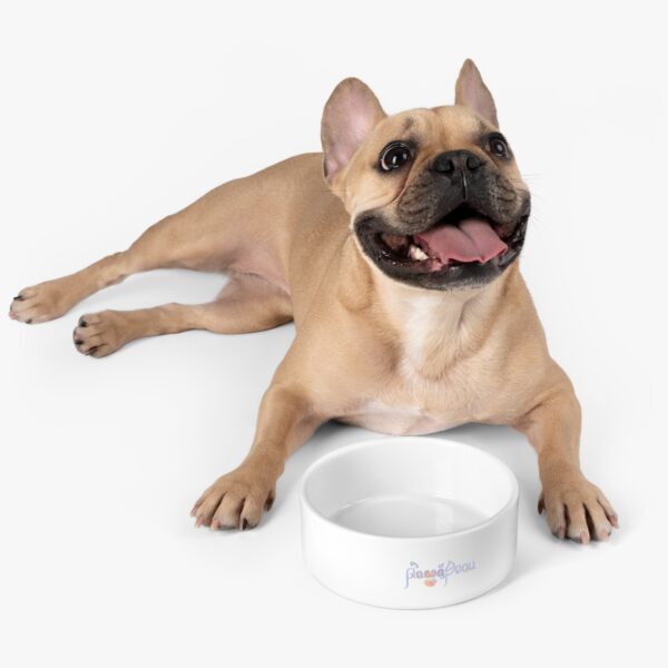 French bulldog with glazed ceramic bowl