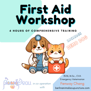 First Aid Workshop for Dogs and Cats